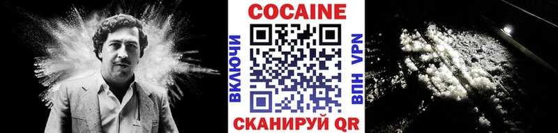 Купить закладки  Нерехта  COCAIN FishScale 
