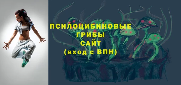 прущая мука Бородино