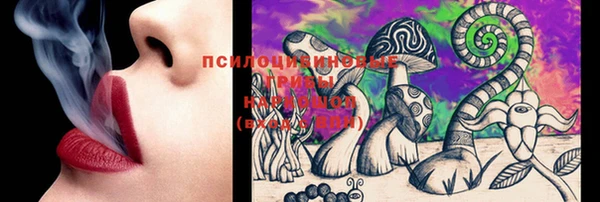apvp Бронницы