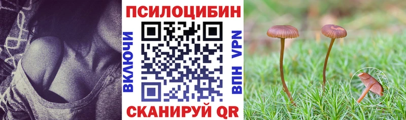 Галлюциногенные грибы мицелий Купить где Нерехта