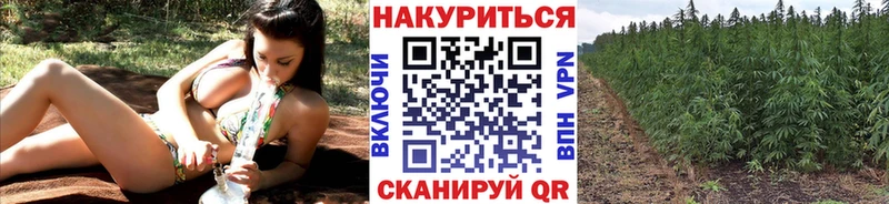 Купить закладки Нерехта Бошки марихуана планчик